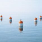 How to Prepare for an External Quality Assessment Without the Last-Minute Panic