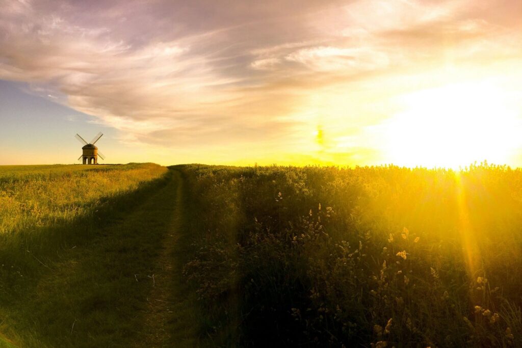 A path through a sunlit field towards a windmill, featured in A New Paradigm for Internal Audit.