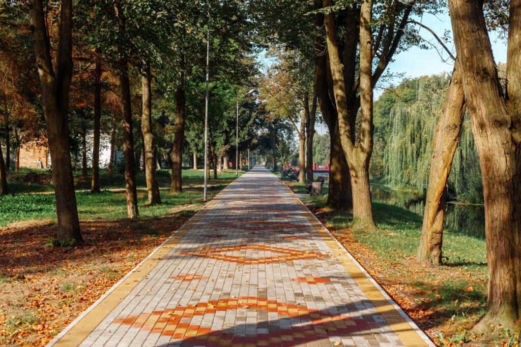 A peaceful park pathway lined with trees, featuring vibrant autumn leaves and a clean stone path.