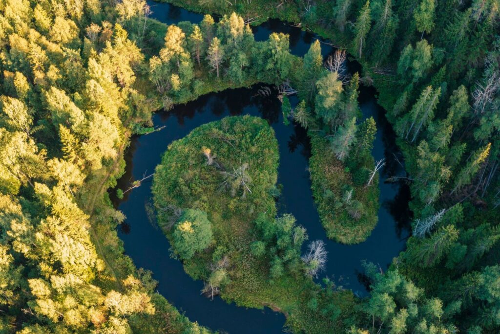 An aerial view of a winding river and forest, featured in the Success-Centred Assurance insight.
